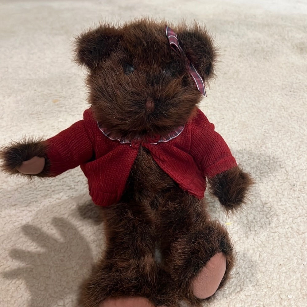 Commonwealth teddy bear with a red sweater